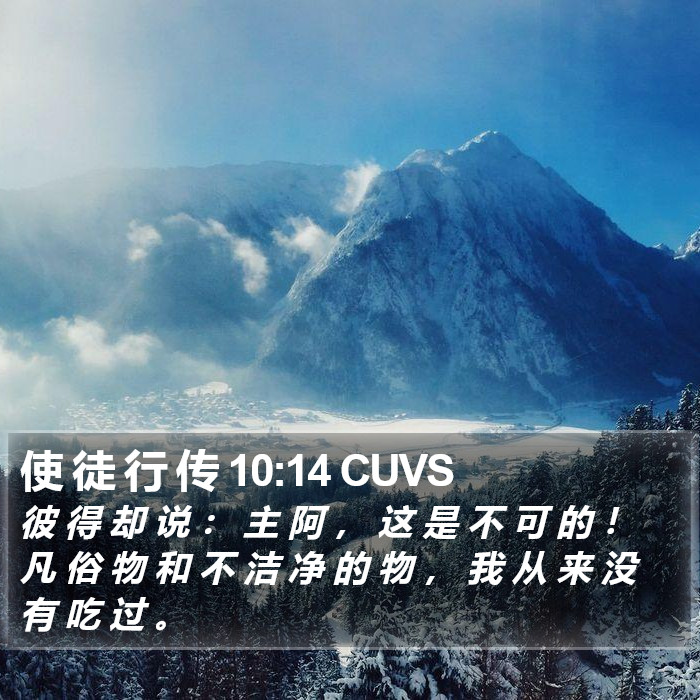 使 徒 行 传 10:14 CUVS Bible Study