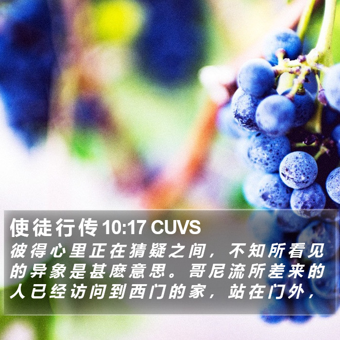 使 徒 行 传 10:17 CUVS Bible Study