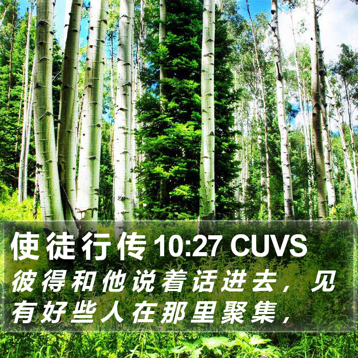 使 徒 行 传 10:27 CUVS Bible Study