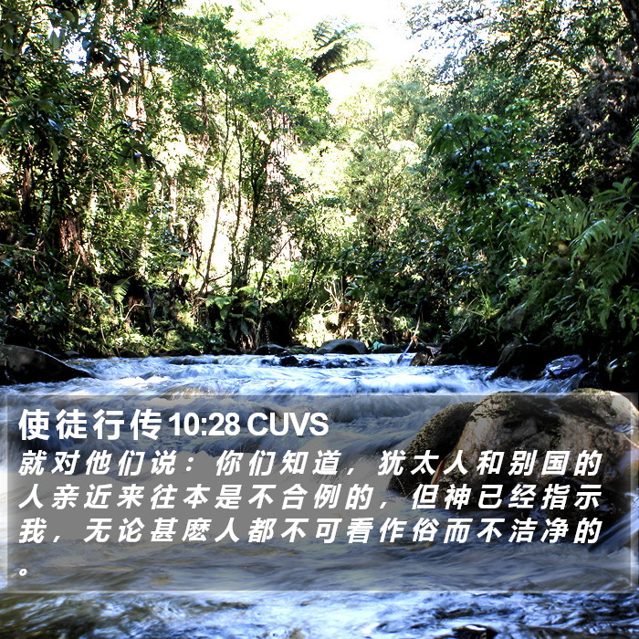 使 徒 行 传 10:28 CUVS Bible Study