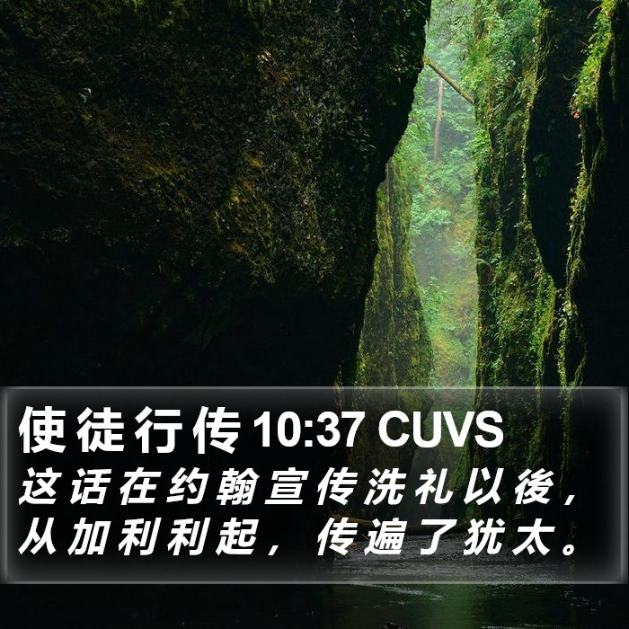 使 徒 行 传 10:37 CUVS Bible Study