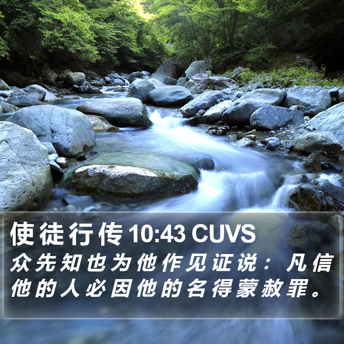 使 徒 行 传 10:43 CUVS Bible Study