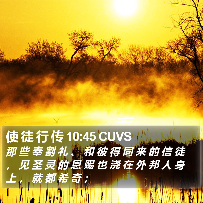 使 徒 行 传 10:45 CUVS Bible Study