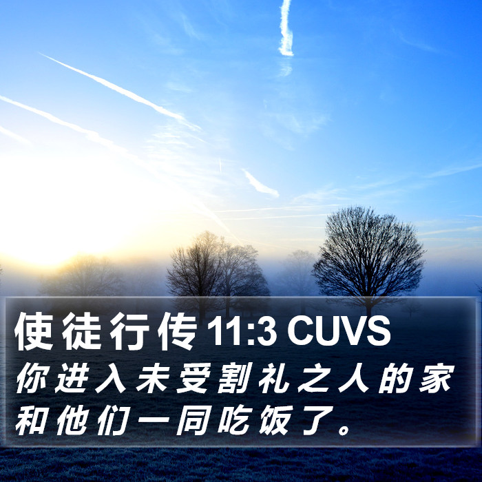 使 徒 行 传 11:3 CUVS Bible Study