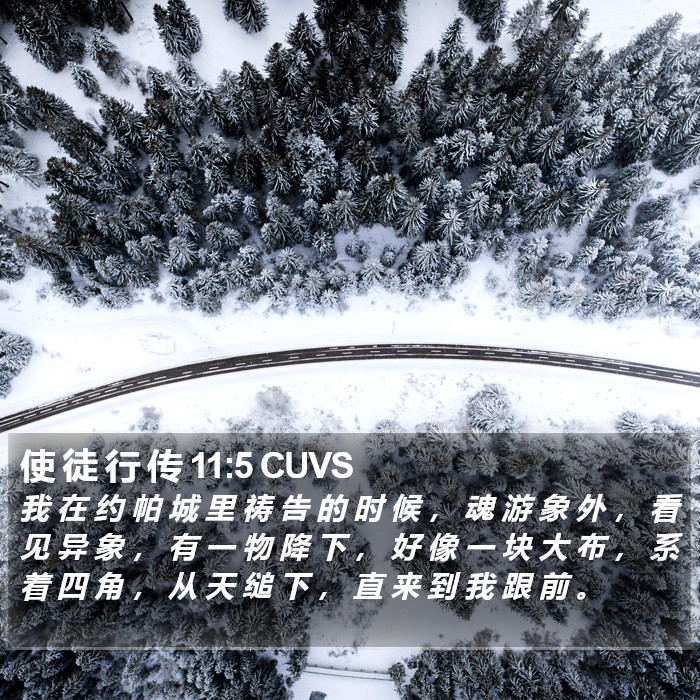 使 徒 行 传 11:5 CUVS Bible Study