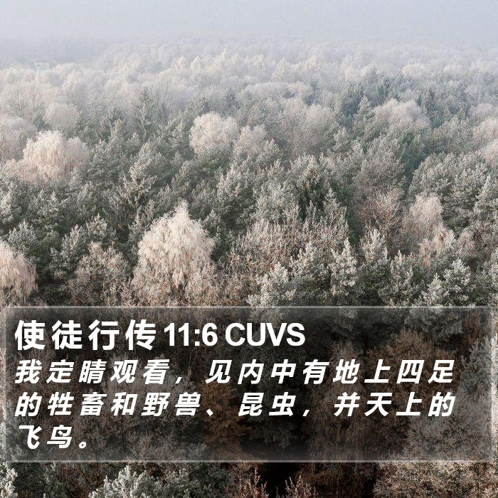 使 徒 行 传 11:6 CUVS Bible Study