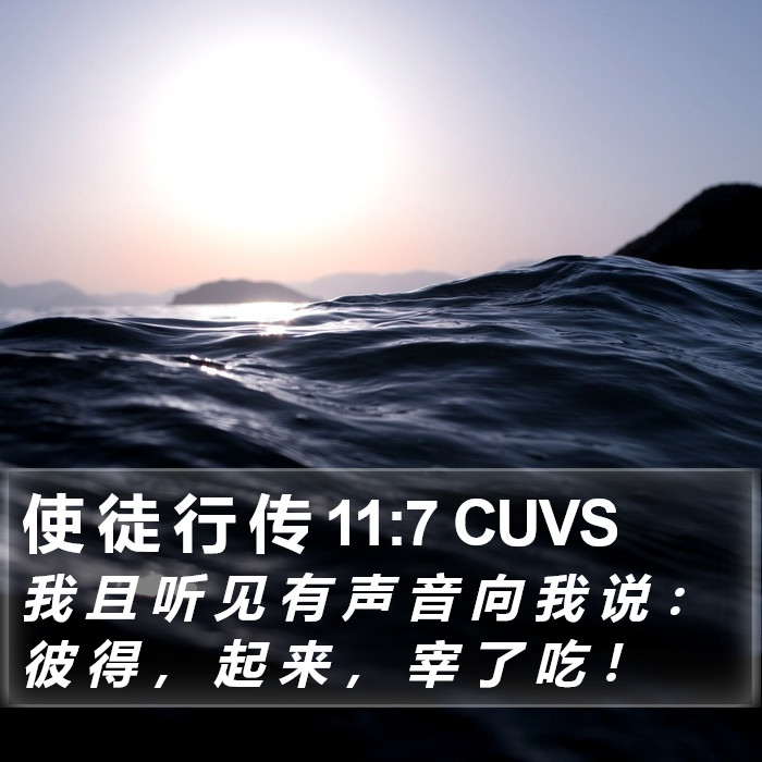 使 徒 行 传 11:7 CUVS Bible Study