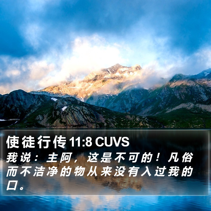 使 徒 行 传 11:8 CUVS Bible Study