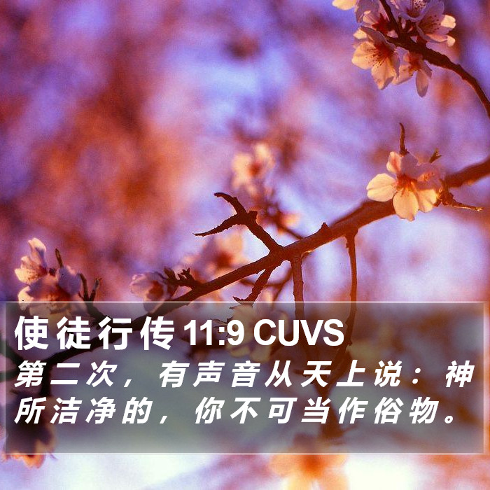 使 徒 行 传 11:9 CUVS Bible Study