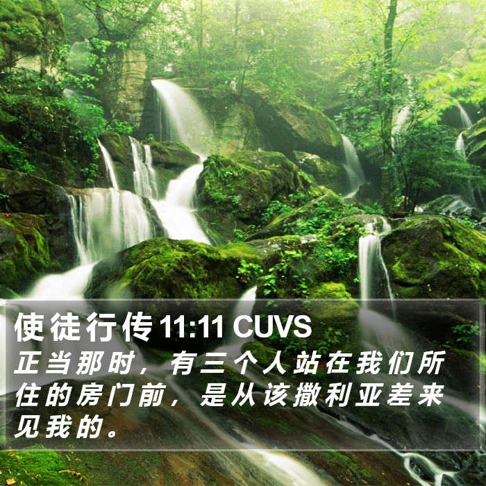 使 徒 行 传 11:11 CUVS Bible Study