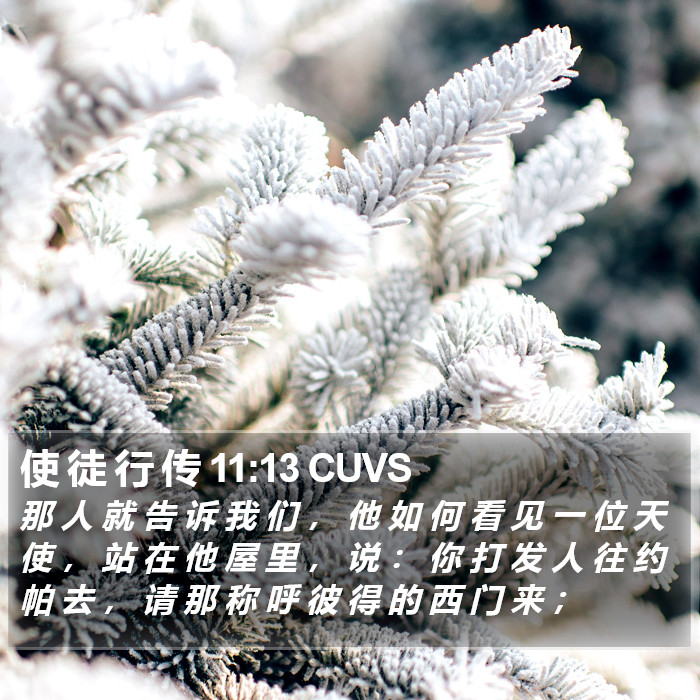 使 徒 行 传 11:13 CUVS Bible Study