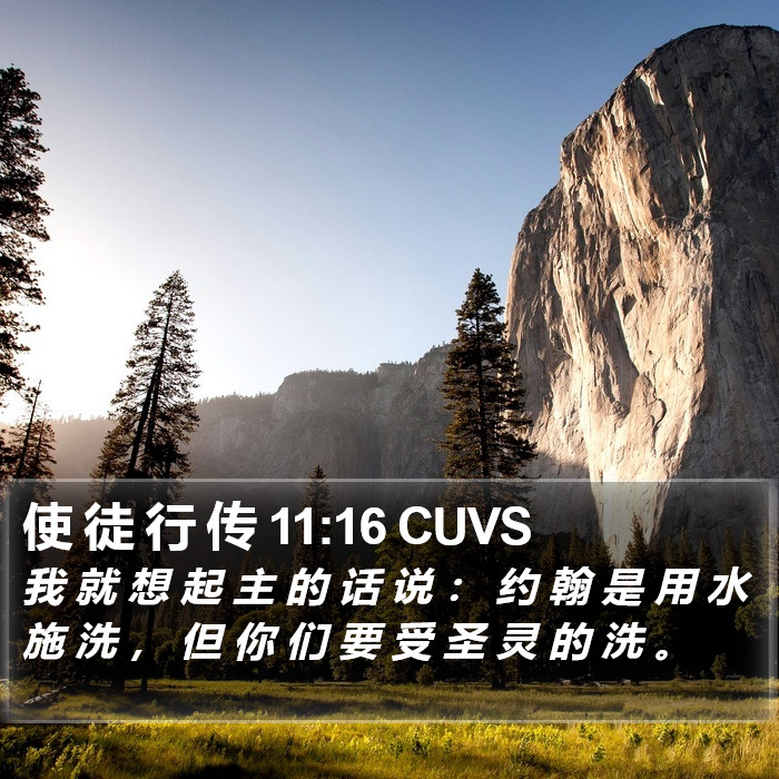 使 徒 行 传 11:16 CUVS Bible Study