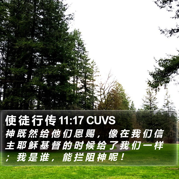 使 徒 行 传 11:17 CUVS Bible Study