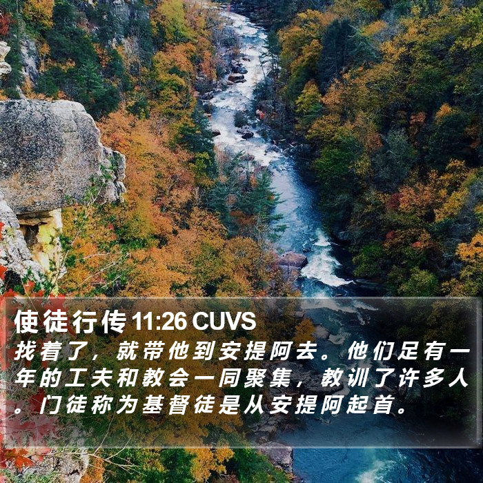 使 徒 行 传 11:26 CUVS Bible Study