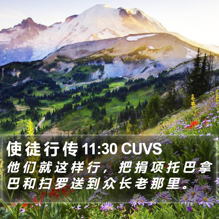 使 徒 行 传 11:30 CUVS Bible Study