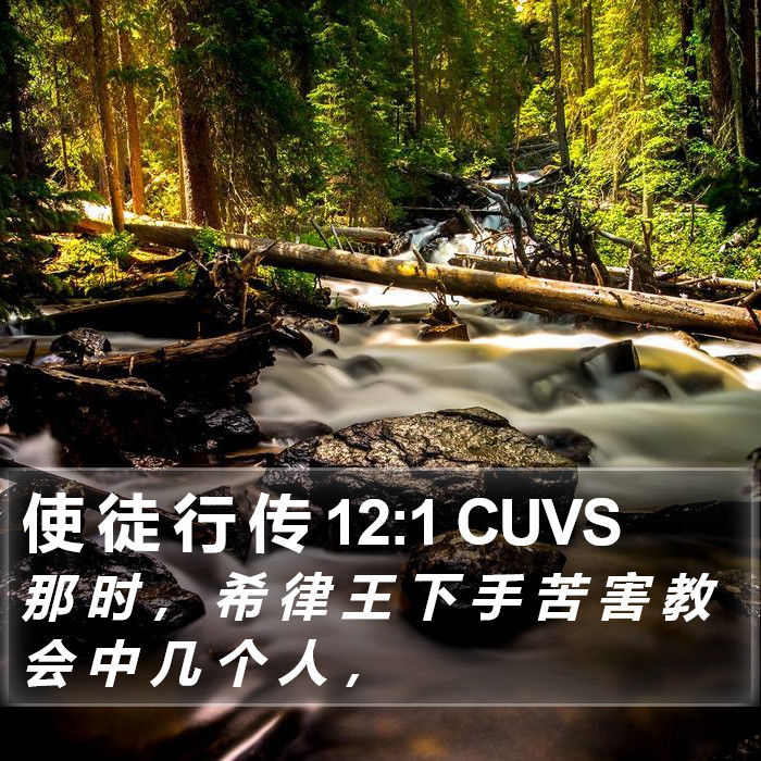 使 徒 行 传 12:1 CUVS Bible Study