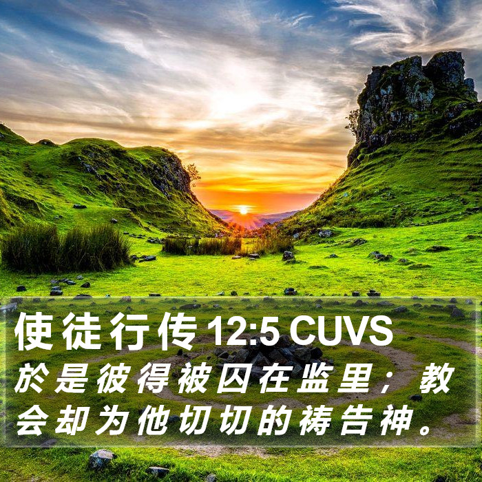 使 徒 行 传 12:5 CUVS Bible Study