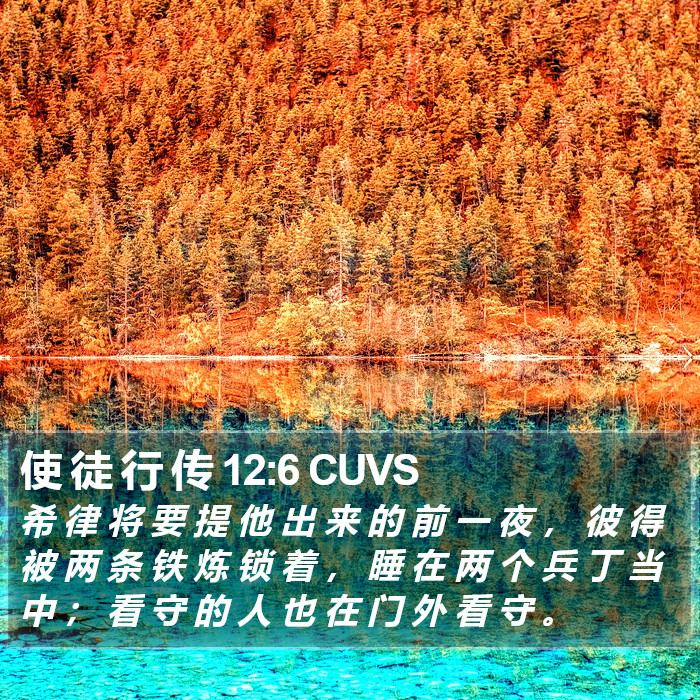 使 徒 行 传 12:6 CUVS Bible Study