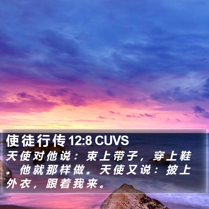 使 徒 行 传 12:8 CUVS Bible Study