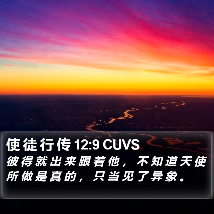 使 徒 行 传 12:9 CUVS Bible Study