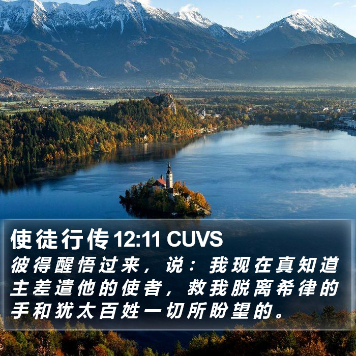 使 徒 行 传 12:11 CUVS Bible Study