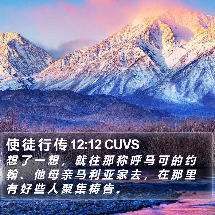 使 徒 行 传 12:12 CUVS Bible Study