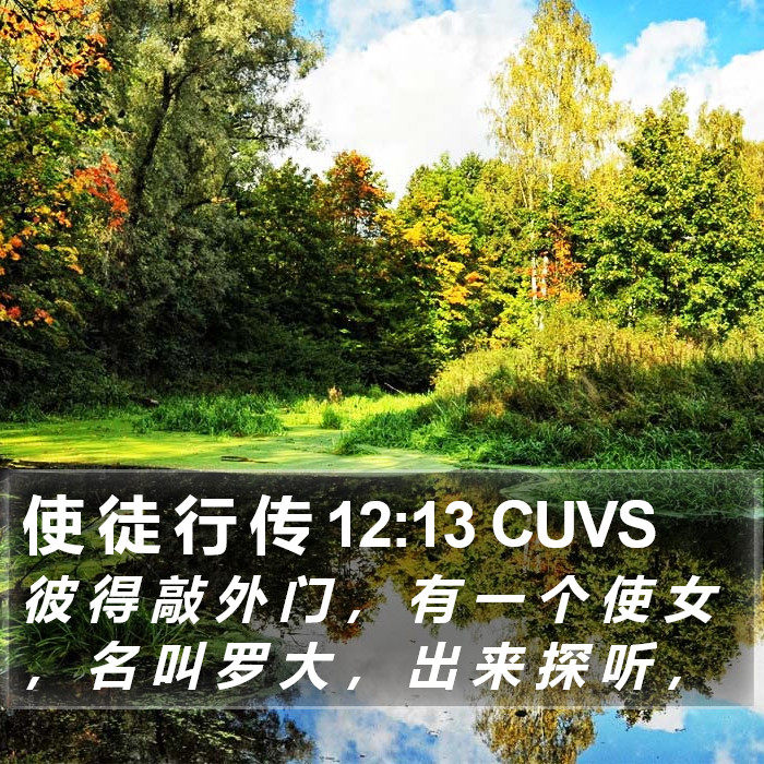 使 徒 行 传 12:13 CUVS Bible Study