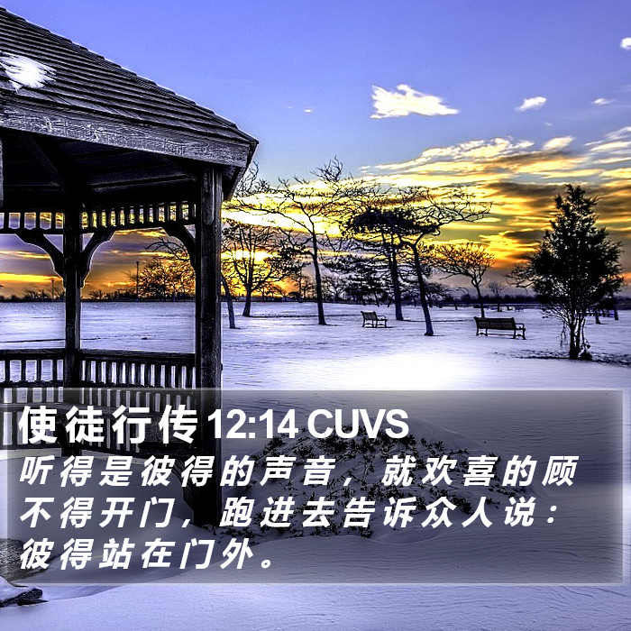 使 徒 行 传 12:14 CUVS Bible Study