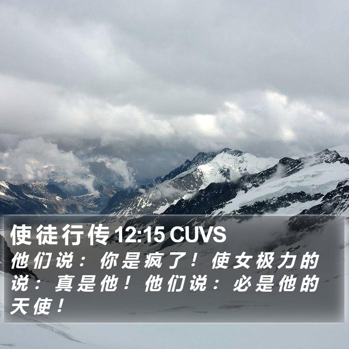 使 徒 行 传 12:15 CUVS Bible Study