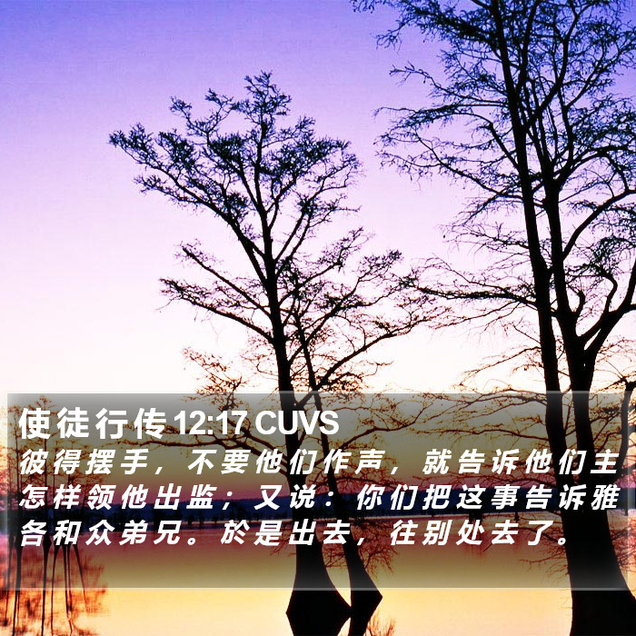 使 徒 行 传 12:17 CUVS Bible Study