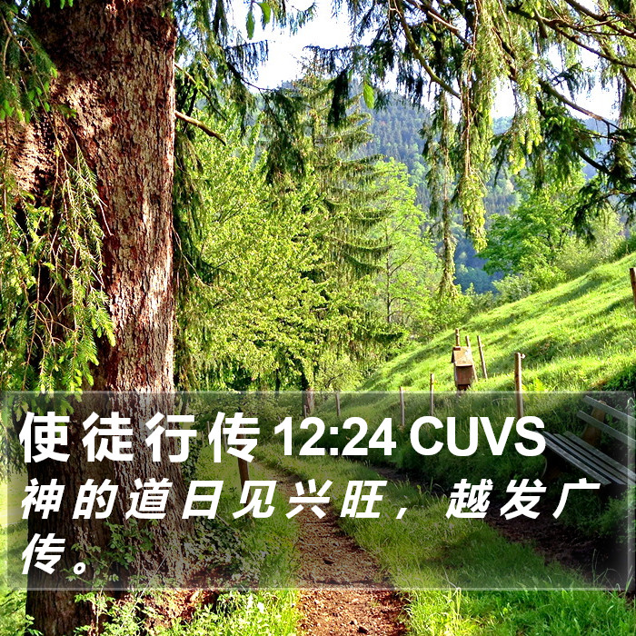 使 徒 行 传 12:24 CUVS Bible Study