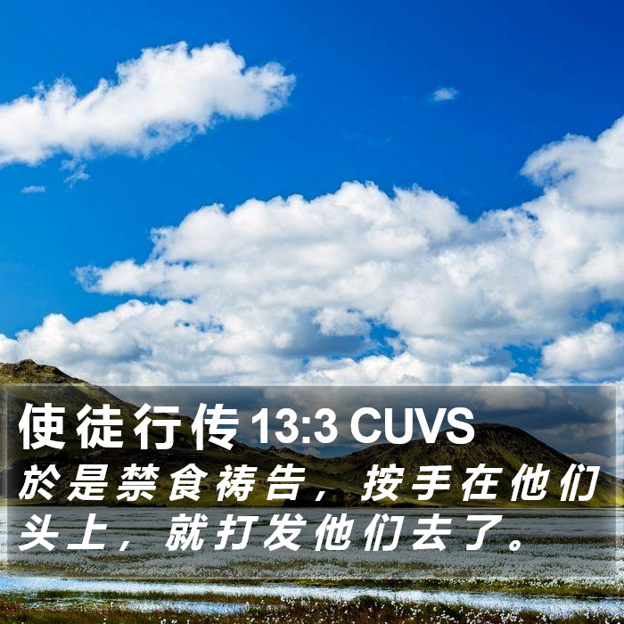 使 徒 行 传 13:3 CUVS Bible Study