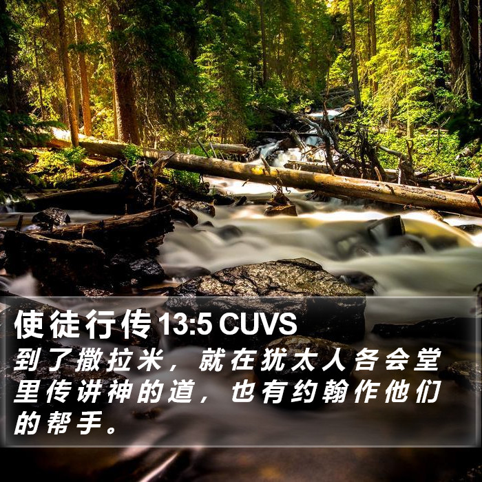 使 徒 行 传 13:5 CUVS Bible Study