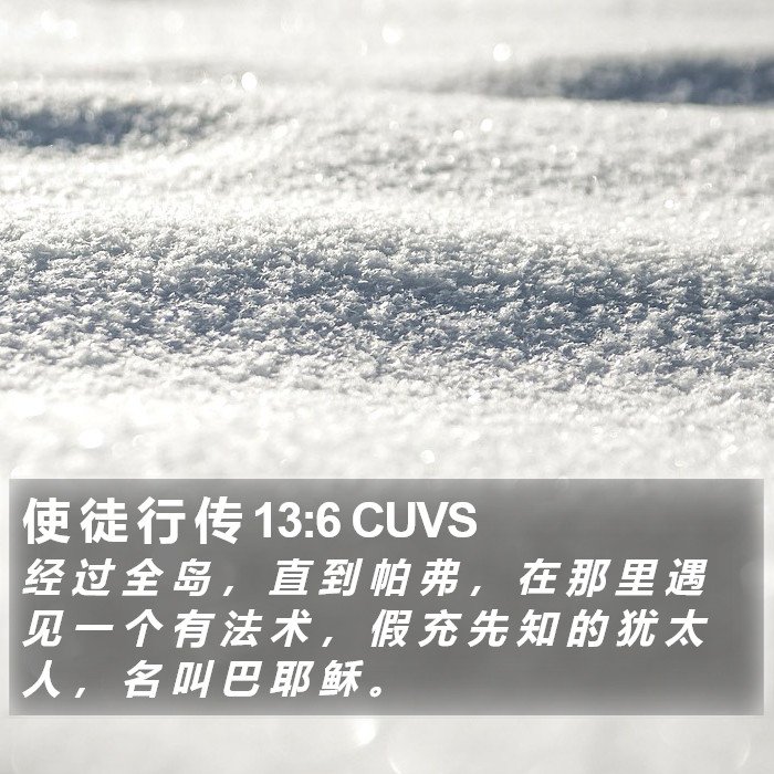 使 徒 行 传 13:6 CUVS Bible Study