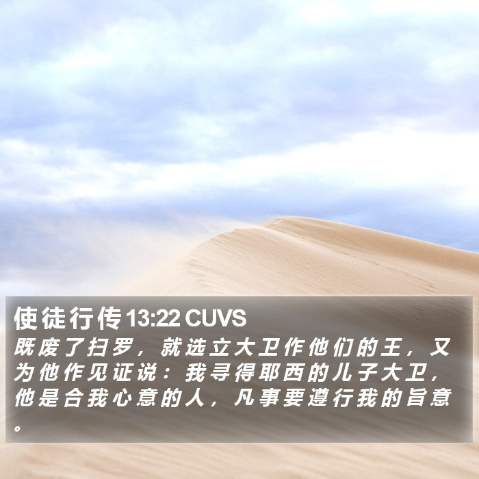 使 徒 行 传 13:22 CUVS Bible Study