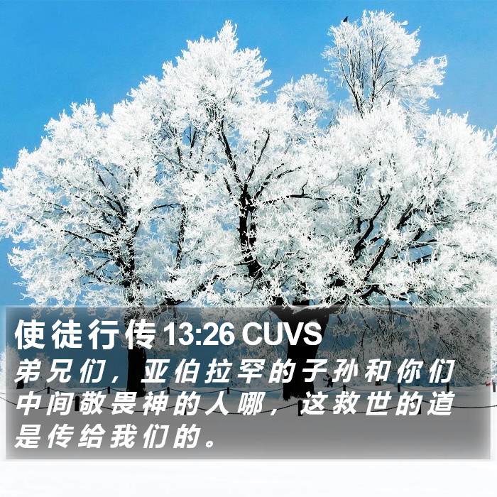 使 徒 行 传 13:26 CUVS Bible Study