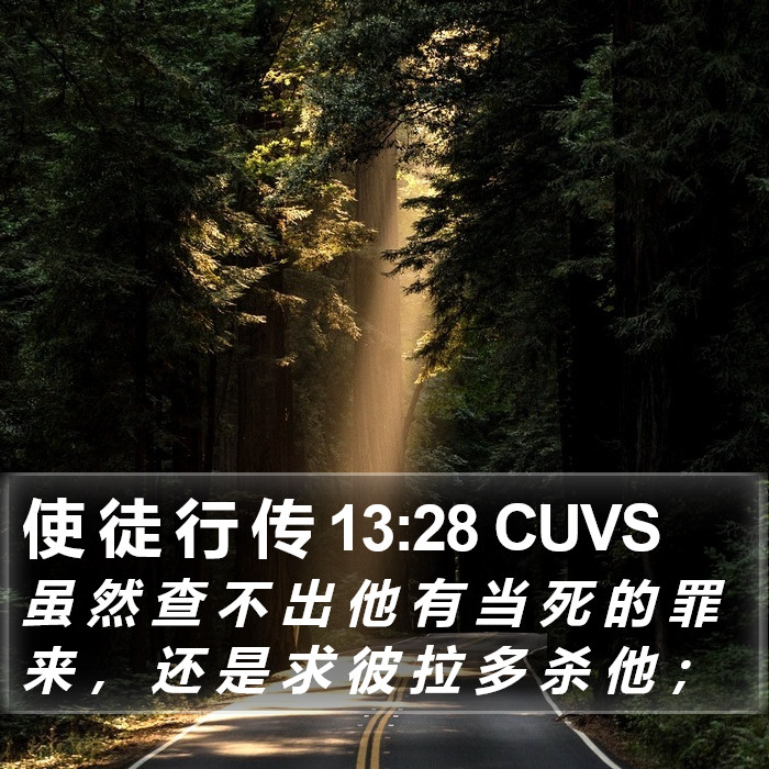 使 徒 行 传 13:28 CUVS Bible Study