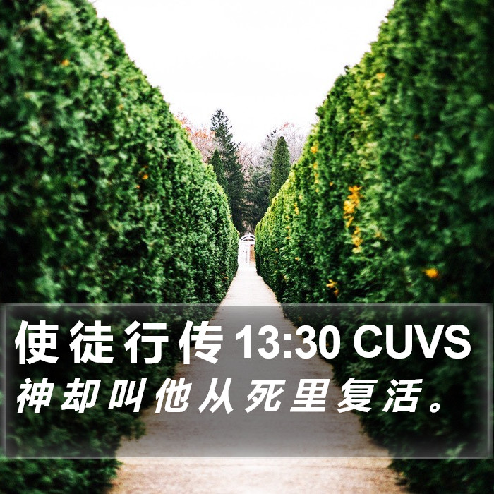 使 徒 行 传 13:30 CUVS Bible Study