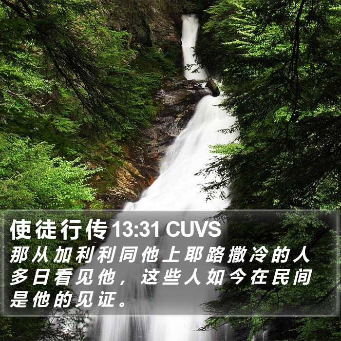 使 徒 行 传 13:31 CUVS Bible Study