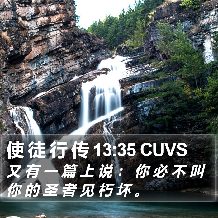 使 徒 行 传 13:35 CUVS Bible Study