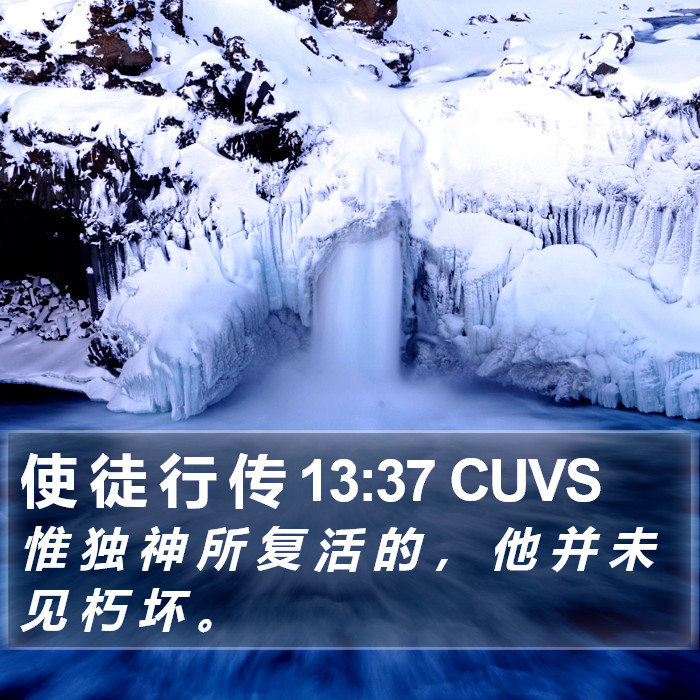 使 徒 行 传 13:37 CUVS Bible Study