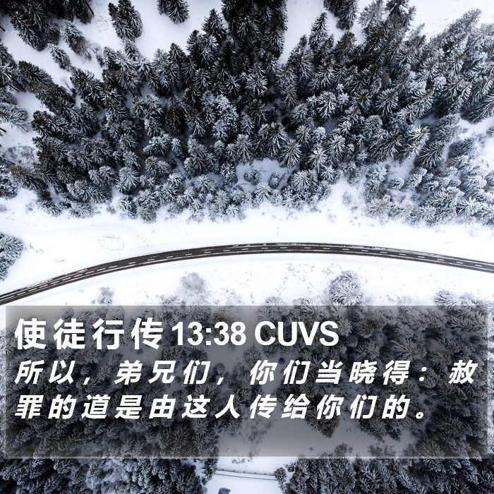 使 徒 行 传 13:38 CUVS Bible Study