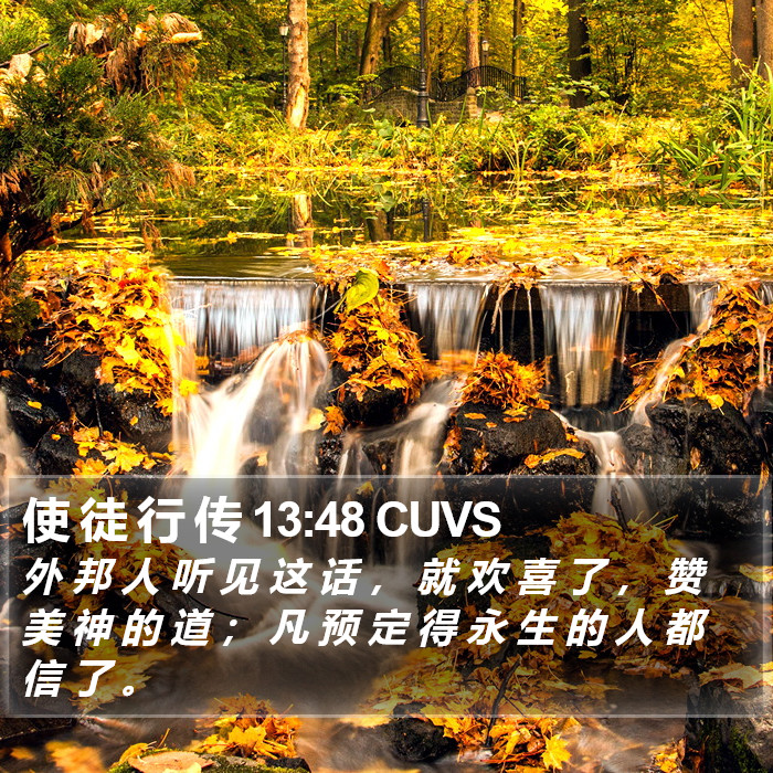 使 徒 行 传 13:48 CUVS Bible Study