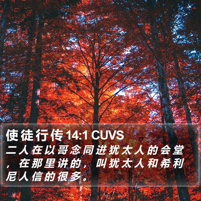 使 徒 行 传 14:1 CUVS Bible Study