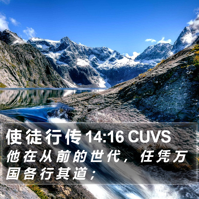 使 徒 行 传 14:16 CUVS Bible Study