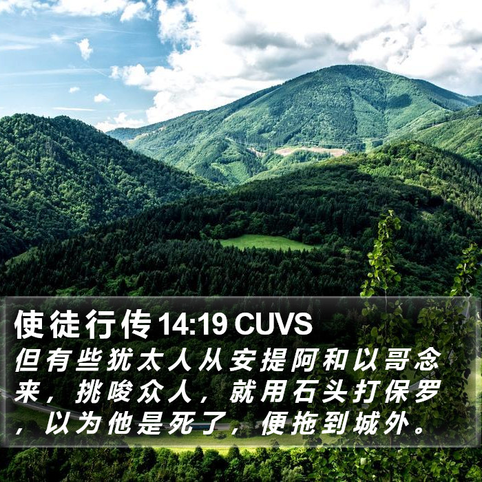 使 徒 行 传 14:19 CUVS Bible Study