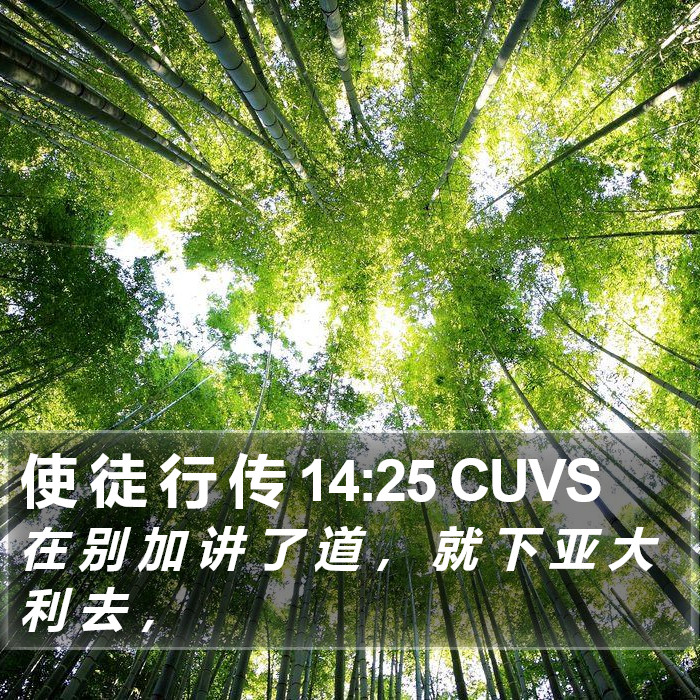 使 徒 行 传 14:25 CUVS Bible Study