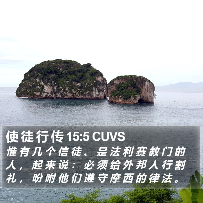 使 徒 行 传 15:5 CUVS Bible Study