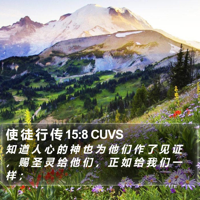 使 徒 行 传 15:8 CUVS Bible Study