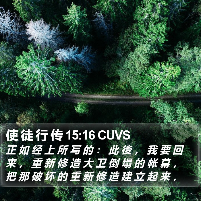 使 徒 行 传 15:16 CUVS Bible Study